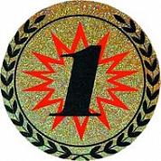 Вкладыш d-50 мм 1 место галограмма