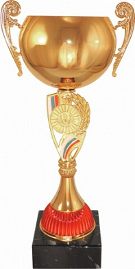 Кубок 511 C h-38.5 см d -120 металл