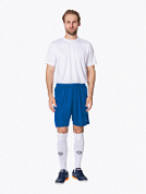 Шорты мужские спортивные CENTURION OPTIMAL FS0101M026 синий 