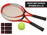 Набор б/т 2 ракетки SP-20-06 (красный)