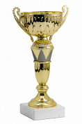 Кубок 2014 h 21 см d 80