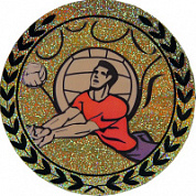 Вкладыш Волейбол D1 галограмма 