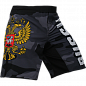 Шорты MMA ALFA BREND CAMO серый