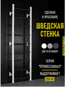 Стенка гимнастическая шведская 3-х составная (цвет белый)