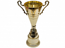 Кубок h-43 см D50-B