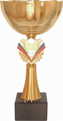 Кубок 538 C h-20,5 см d-80