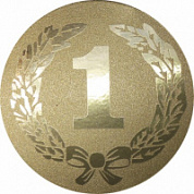Вкладыш d-25 мм 1 место наклейка