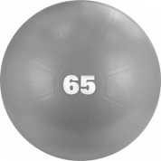 Мяч гимнастический d - 65 см TORRES с насосом серый 