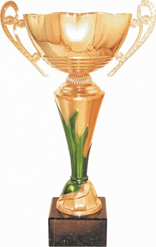 Кубок 7133 C h-29.5 см d -120 металл
