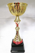 Кубок GD 2206 B h-35 см d-140 мм