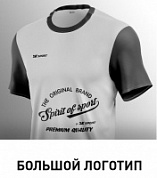 Нанесение большой логотип 20 х 30 см