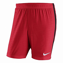Шорты мужские NIKE 894128-657
