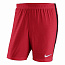 Шорты мужские NIKE 894128-657
