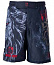 Шорты MMA Rusco Sport Lion детские