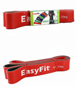 Эспандер - петля EasyFit Double 4,5 см (нагрузка: 67-70 кг)