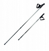 Палки для скандинавской ходьбы NWS-101 silver