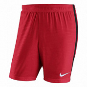 Шорты мужские NIKE 894128-657