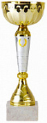 Кубок 9035 D h-18.5 см d-70