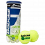 Мяч б/т Babolat Green арт.501066
