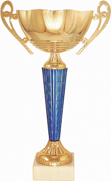 Кубок 7160 D h-20.5см d - 80 металл