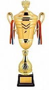 Кубок DK2460 h-66 см