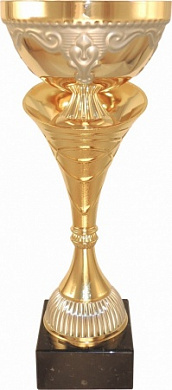 Кубок 4215 C h-33,5 см d-120 мм