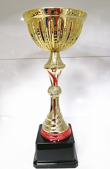 Кубок GD 2206 C h-30 см d-120 мм