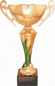 Кубок 7133 C h-29.5 см d -120 металл